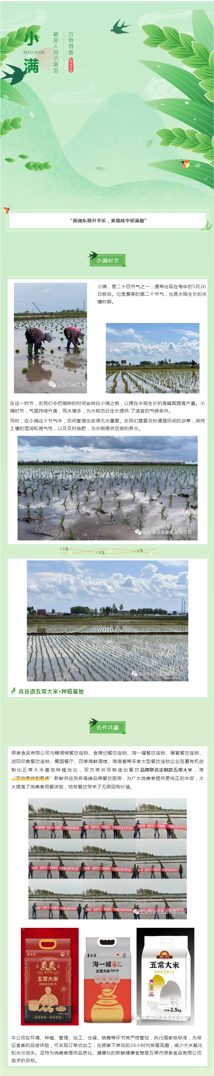 今日小滿，宜萬物生長(zhǎng)！五常大米插秧的好時(shí)節(jié).png